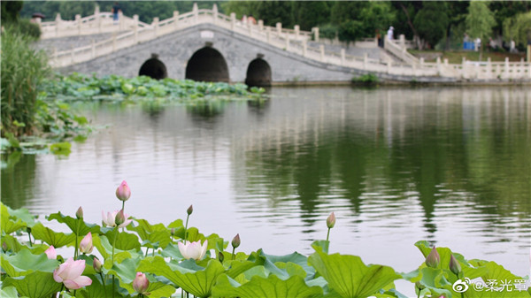 【圖說(shuō)淮南】——雨后清新的龍湖公園