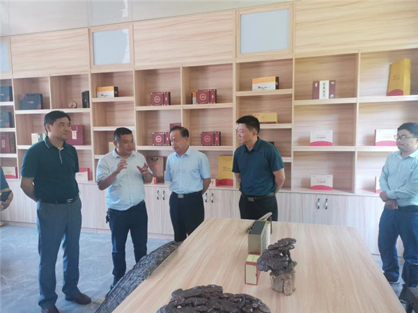 淮南市赴六安市考察學習鄉(xiāng)村振興工作