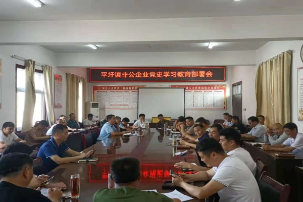淮南市潘集區(qū)平圩鎮(zhèn)：念好“三字訣”推深做實非公領(lǐng)域黨史學習教育