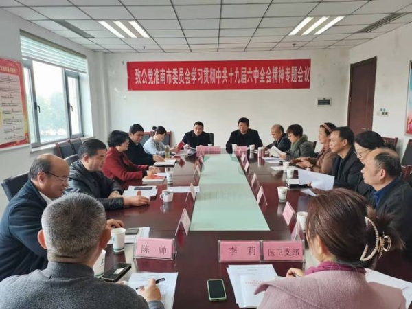 淮南市委會召開學(xué)習(xí)貫徹中共十九屆六中全會精神專題會議