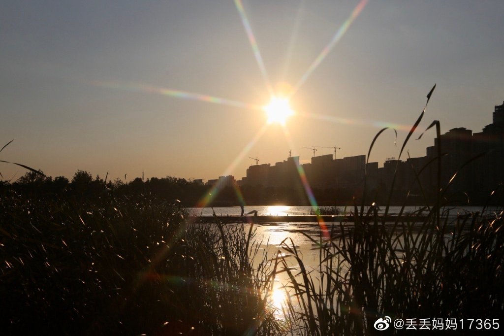 【圖說(shuō)淮南】——淮南中央公園的夏季艷陽(yáng)