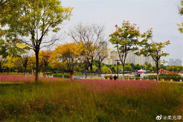 圖說(shuō)淮南——人民公園秋景