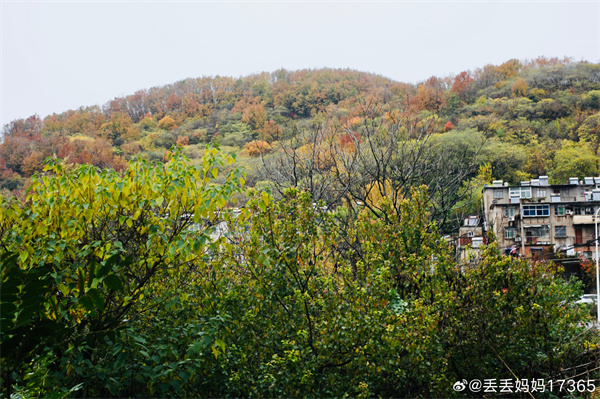 【圖說淮南】——走進八公山 