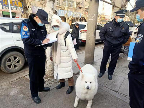 淮南鳳臺：公安城管聯(lián)合行動(dòng) 整治不文明養犬行為